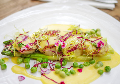 Scallops On A Cream Of Peas